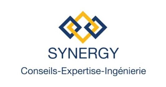 Synergy partenaire Kelassi School